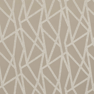 Geomo Taupe Fabric by Clarke & Clarke