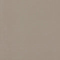 Miami Ash Fabric by Clarke and Clarke