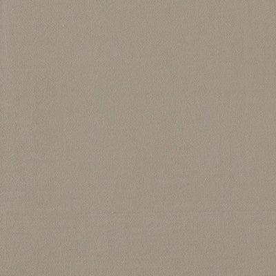Miami Ash Fabric by Clarke and Clarke