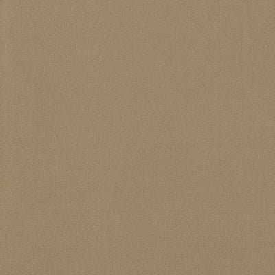 Miami Beaver Fabric by Clarke and Clarke