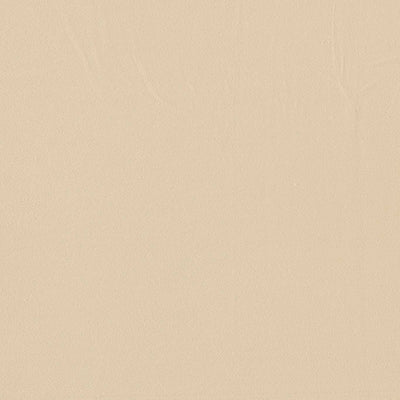 Miami Cream Fabric by Clarke and Clarke
