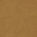 Miami Gold Fabric by Clarke and Clarke