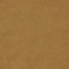 F1511/14 Miami Gold Fabric by Clarke and Clarke