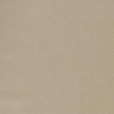 Miami Taupe Fabric by Clarke and Clarke