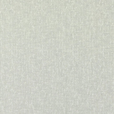 Tierra Eco Silver Fabric by Clarke and Clarke