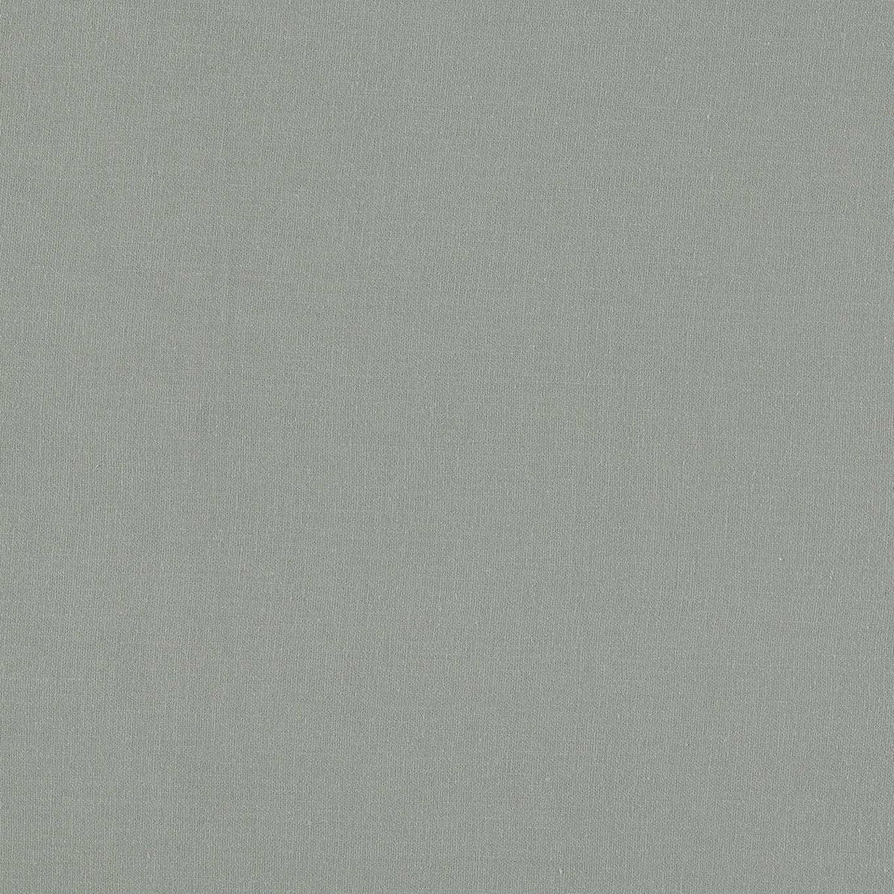 F1537/02 Lazio Ash Fabric by Clarke and Clarke