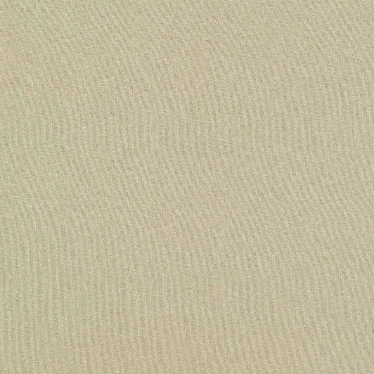 F1537/25 Lazio Putty Fabric by Clarke and Clarke