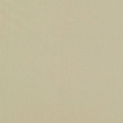 Lazio Putty Fabric by Clarke and Clarke