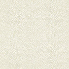F1548/01 Ricamo Dimora Ivory Fabric by Clarke and Clarke