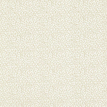F1548/01 Ricamo Dimora Ivory Fabric by Clarke and Clarke