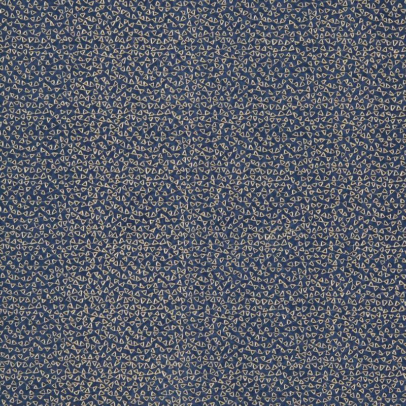 F1548/02 Ricamo Dimora Midnight Fabric by Clarke and Clarke