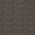 Ricamo Dimora Nero Fabric by Clarke and Clarke