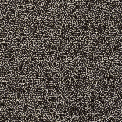 Ricamo Dimora Nero Fabric by Clarke and Clarke