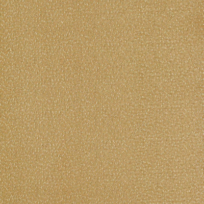 Ricamo Dimora Ochre Fabric by Clarke and Clarke