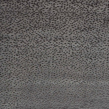 F1564/01 Astral Illusion Espresso Fabric by Clarke and Clarke