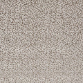 Astral Illusion Taupe Fabric by Clarke and Clarke