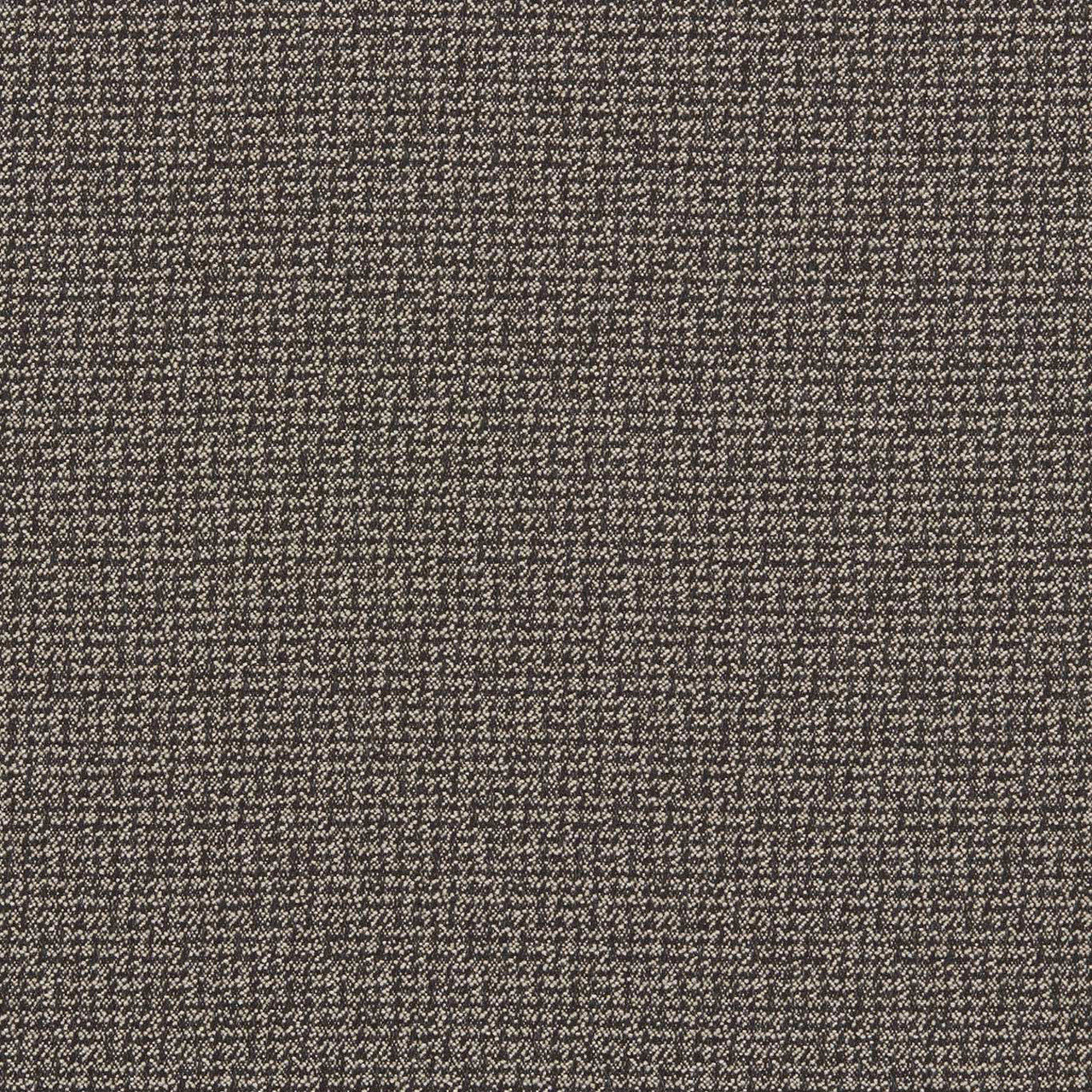 F1569/01 Malone Burlington Charcoal Fabric by Clarke and Clarke