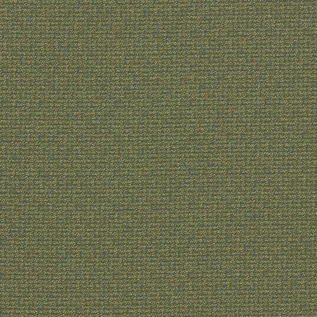F1569/05 Malone Burlington Moss Fabric by Clarke and Clarke