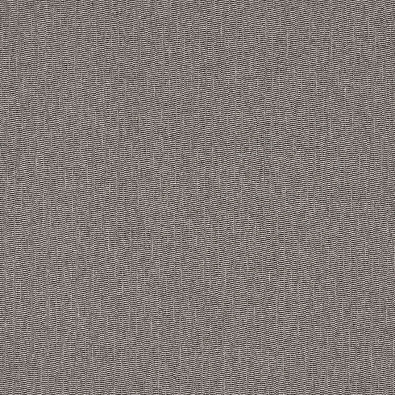 F1570/01 Rowland Burlington Charcoal Fabric by Clarke and Clarke