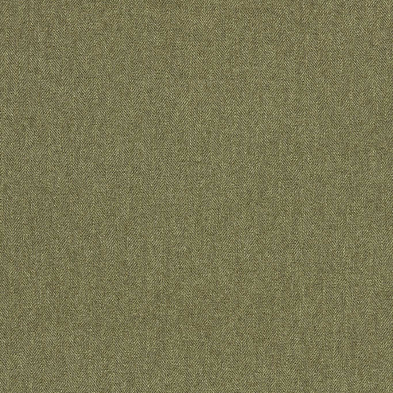F1570/07 Rowland Burlington Moss Fabric by Clarke and Clarke