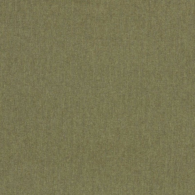 F1570/07 Rowland Burlington Moss Fabric by Clarke and Clarke