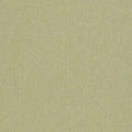 Rowland Burlington Olive Fabric by Clarke and Clarke