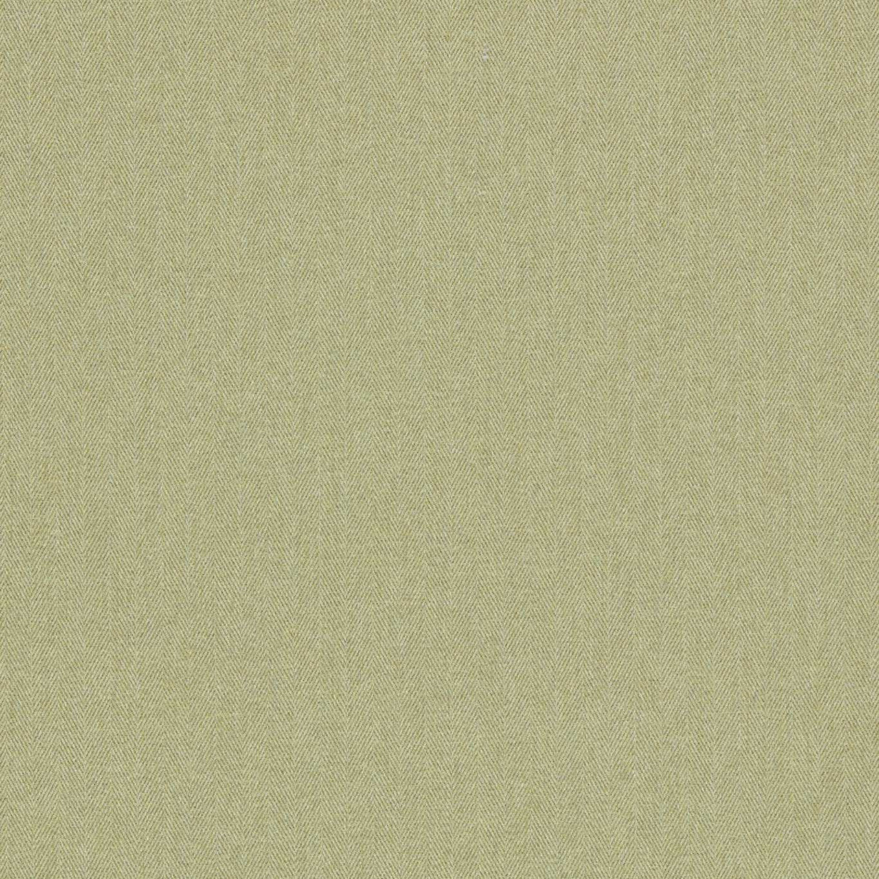 F1570/08 Rowland Burlington Olive Fabric by Clarke and Clarke