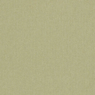 Rowland Burlington Olive Fabric by Clarke and Clarke