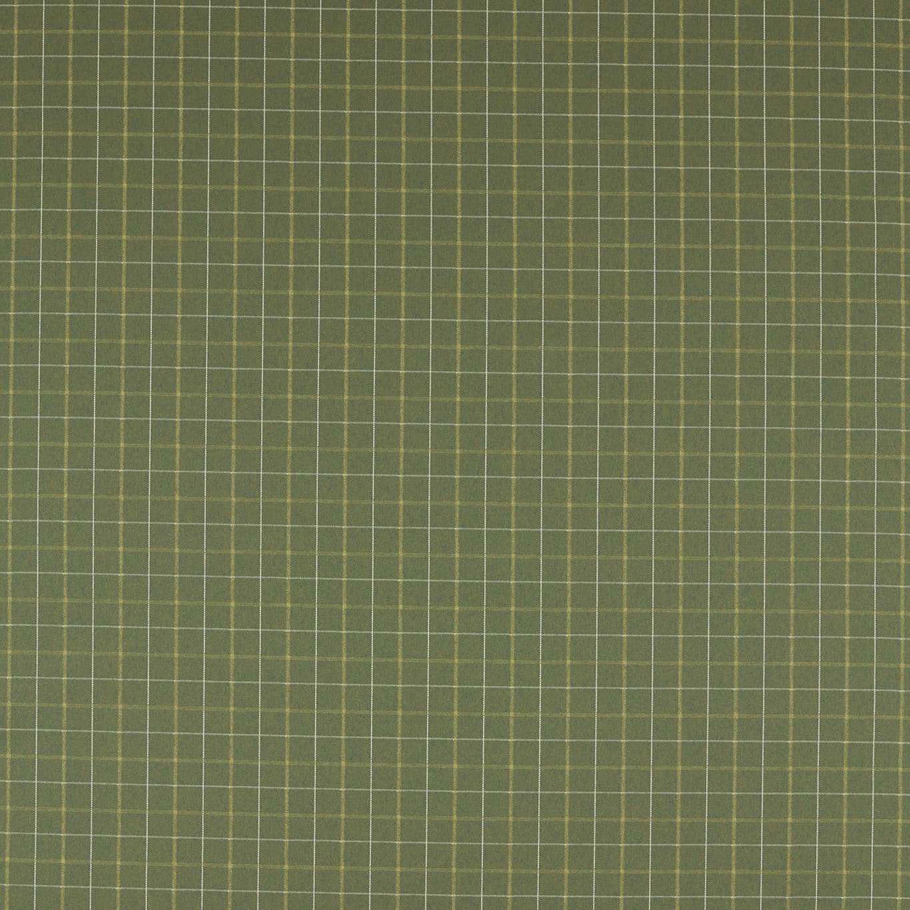 F1571/04 Thornton Burlington Moss Fabric by Clarke and Clarke