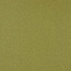 F1572/16 Orla Olive Fabric by Clarke and Clarke