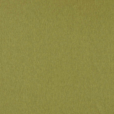Orla Olive Fabric by Clarke and Clarke