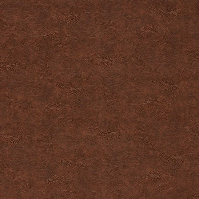 Plains Dawson Chestnut Fabric by Clarke and Clarke