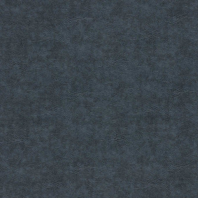 Plains Dawson Ink Fabric by Clarke and Clarke