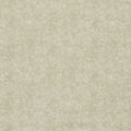 Plains Dawson Natural Fabric by Clarke and Clarke