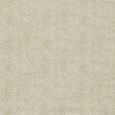 Plains Dawson Natural Fabric by Clarke and Clarke