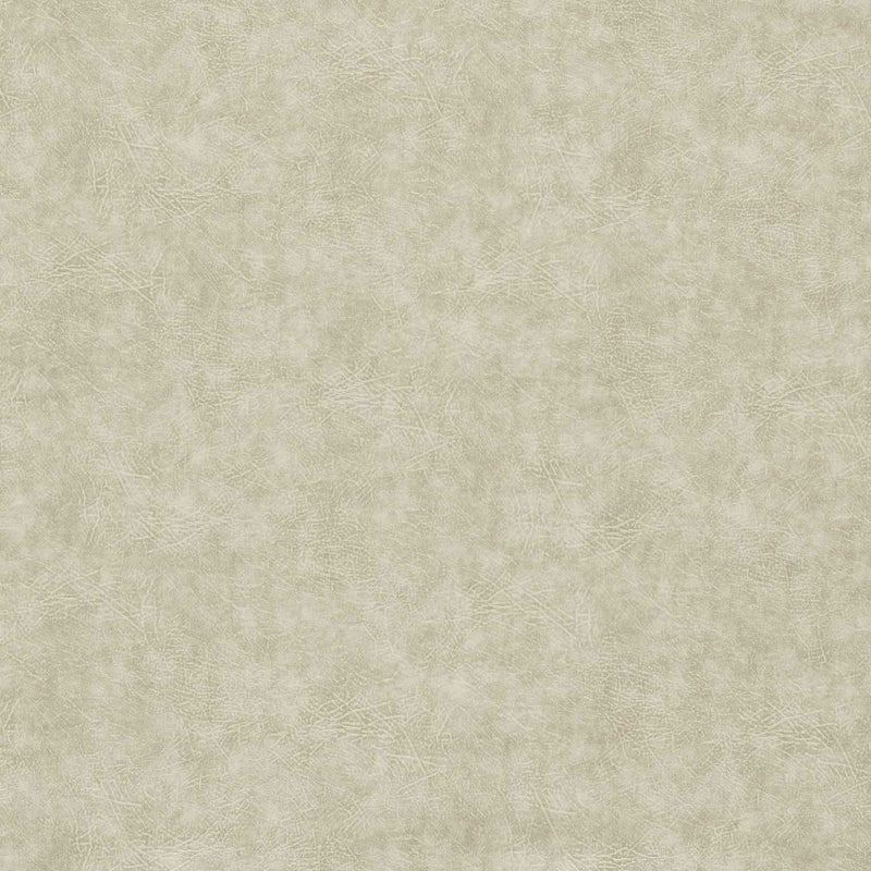 F1598/10 Plains Dawson Natural Fabric by Clarke and Clarke