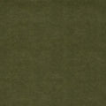 Plains Dawson Olive Fabric by Clarke and Clarke