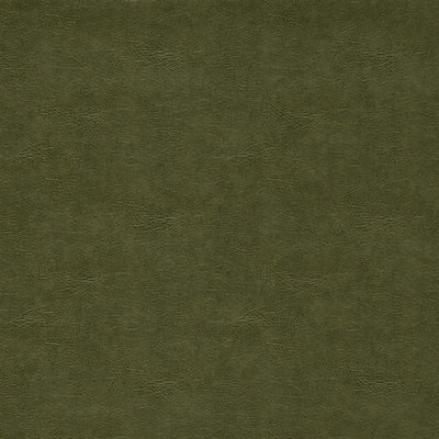 Plains Dawson Olive Fabric by Clarke and Clarke