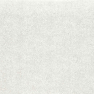 Plains Dawson Pearl Fabric by Clarke and Clarke