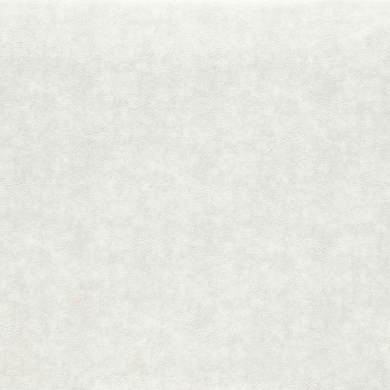 F1598/13 Plains Dawson Pearl Fabric by Clarke and Clarke