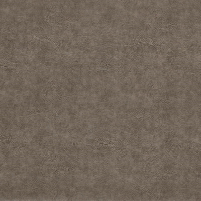 Plains Dawson Pewter Fabric by Clarke and Clarke