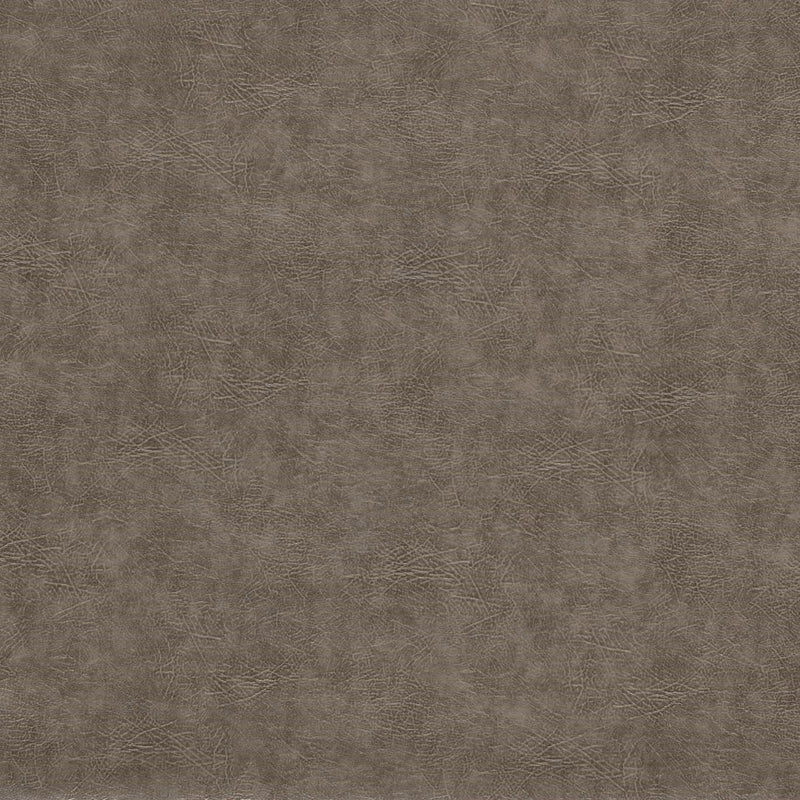 F1598/14 Plains Dawson Pewter Fabric by Clarke and Clarke
