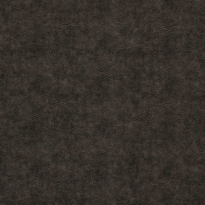 Plains Dawson Slate Fabric by Clarke and Clarke