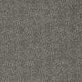 Plains Dawson Stone Fabric by Clarke and Clarke