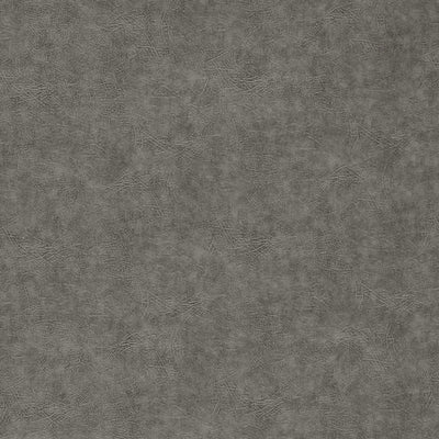 Plains Dawson Stone Fabric by Clarke and Clarke