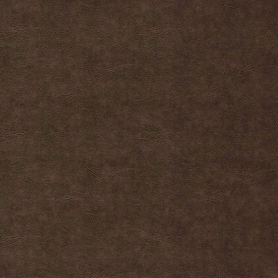 Plains Dawson Teak Fabric by Clarke and Clarke