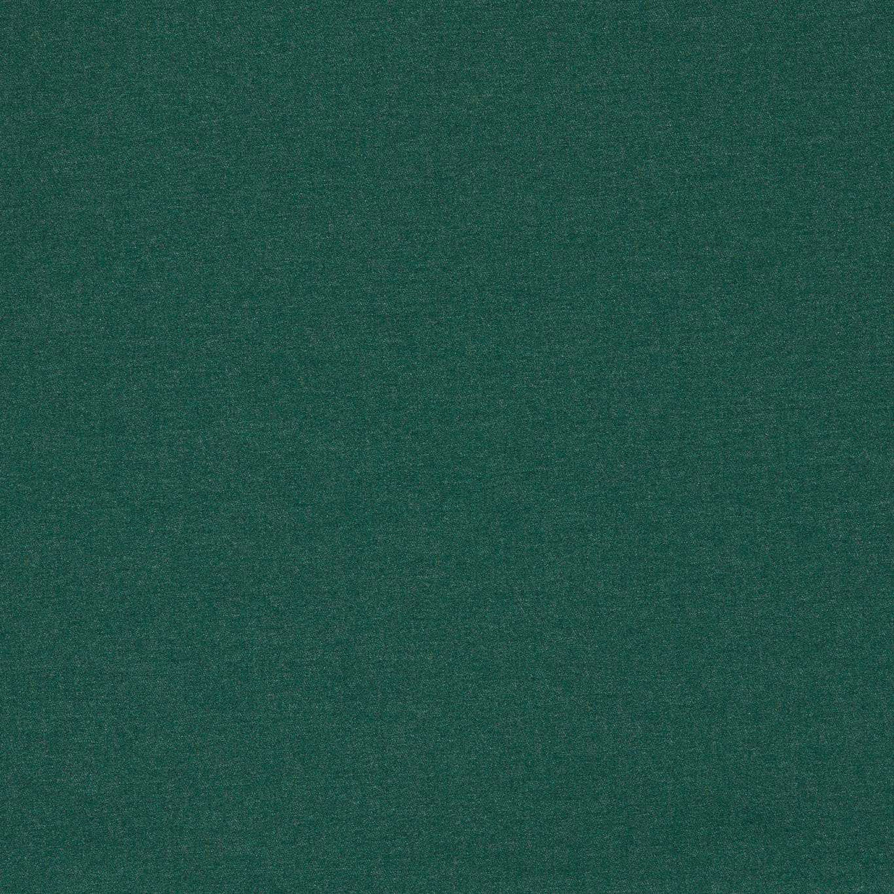 F1669/02 Lugo Outdoor Alfesco Indoor Outdoor Forest Fabric by Clarke & Clarke