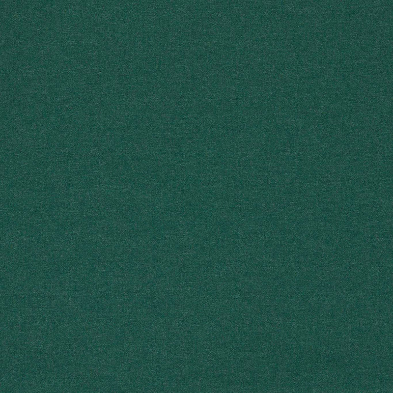 F1669/02 Lugo Outdoor Alfesco Indoor Outdoor Forest Fabric by Clarke & Clarke