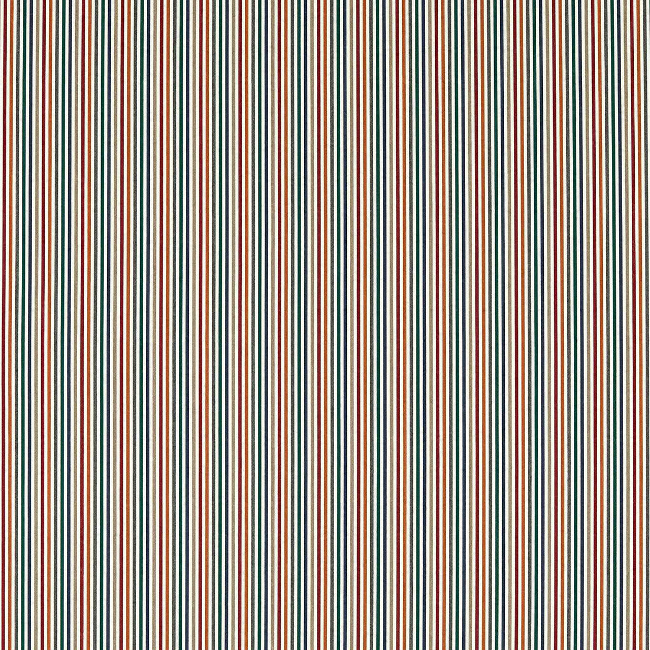 F1675/01 Torezzo Outdoor Alfesco Indoor Outdoor Multi Fabric by Clarke & Clarke