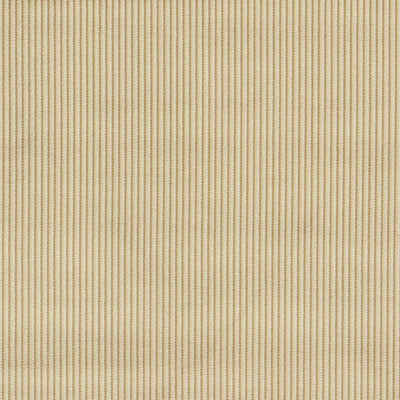 Ashdown Whitworth Antique Fabric by Clarke & Clarke